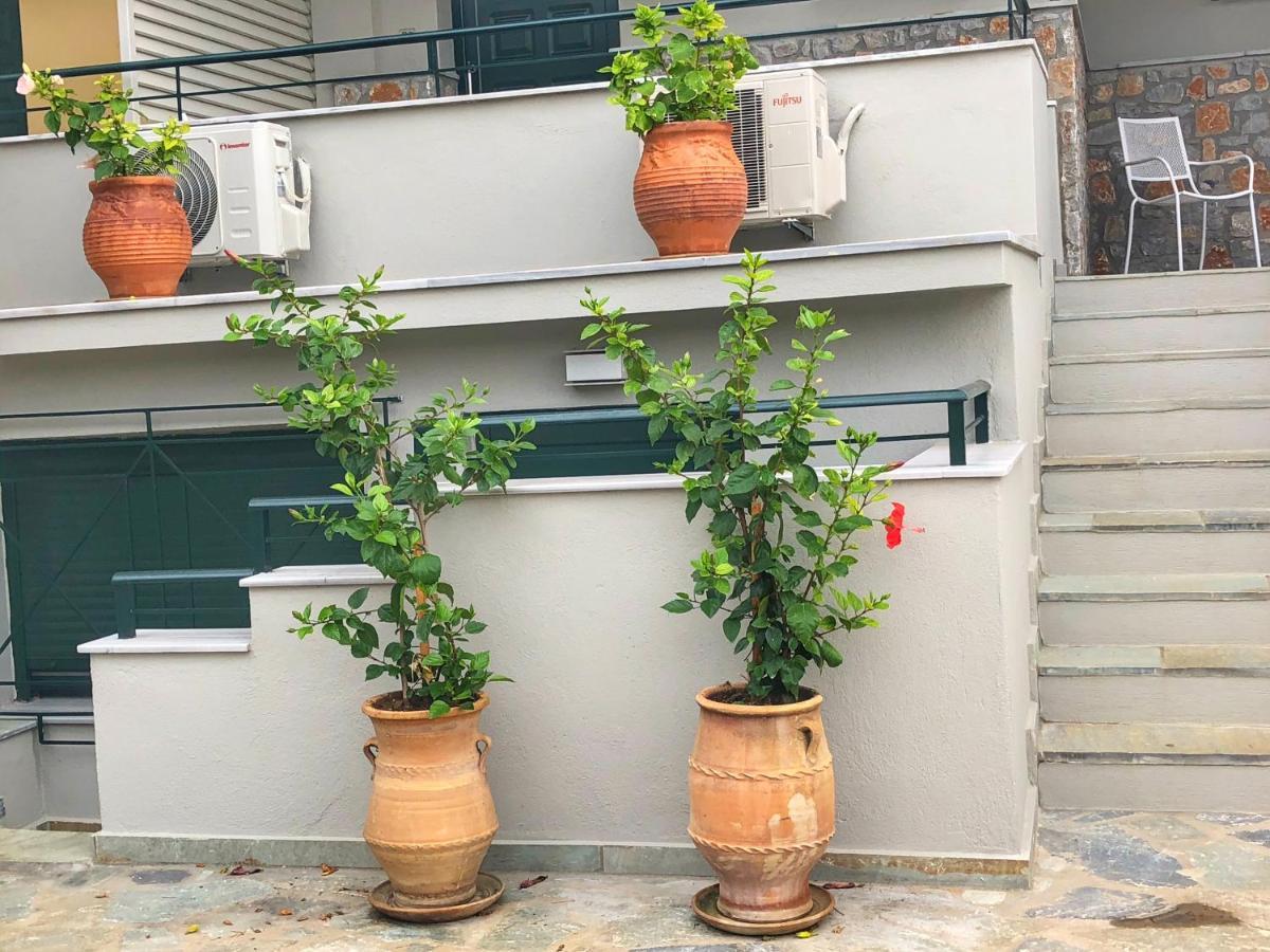 Azzurro Hotel Katsaros  Kültér fotó